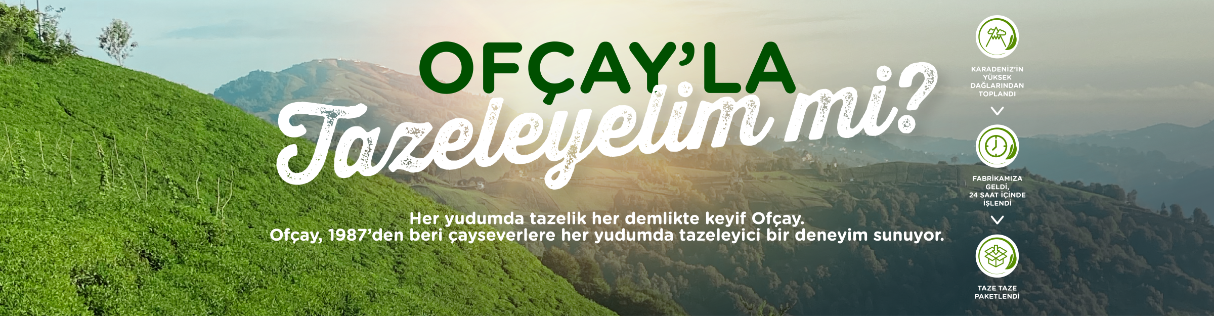 ofcay banner.png