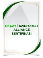 sertifikalar png 06