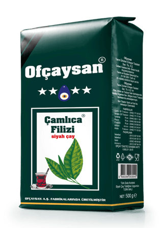 Çamlıca Filizi