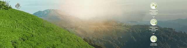 hero banner ofcay